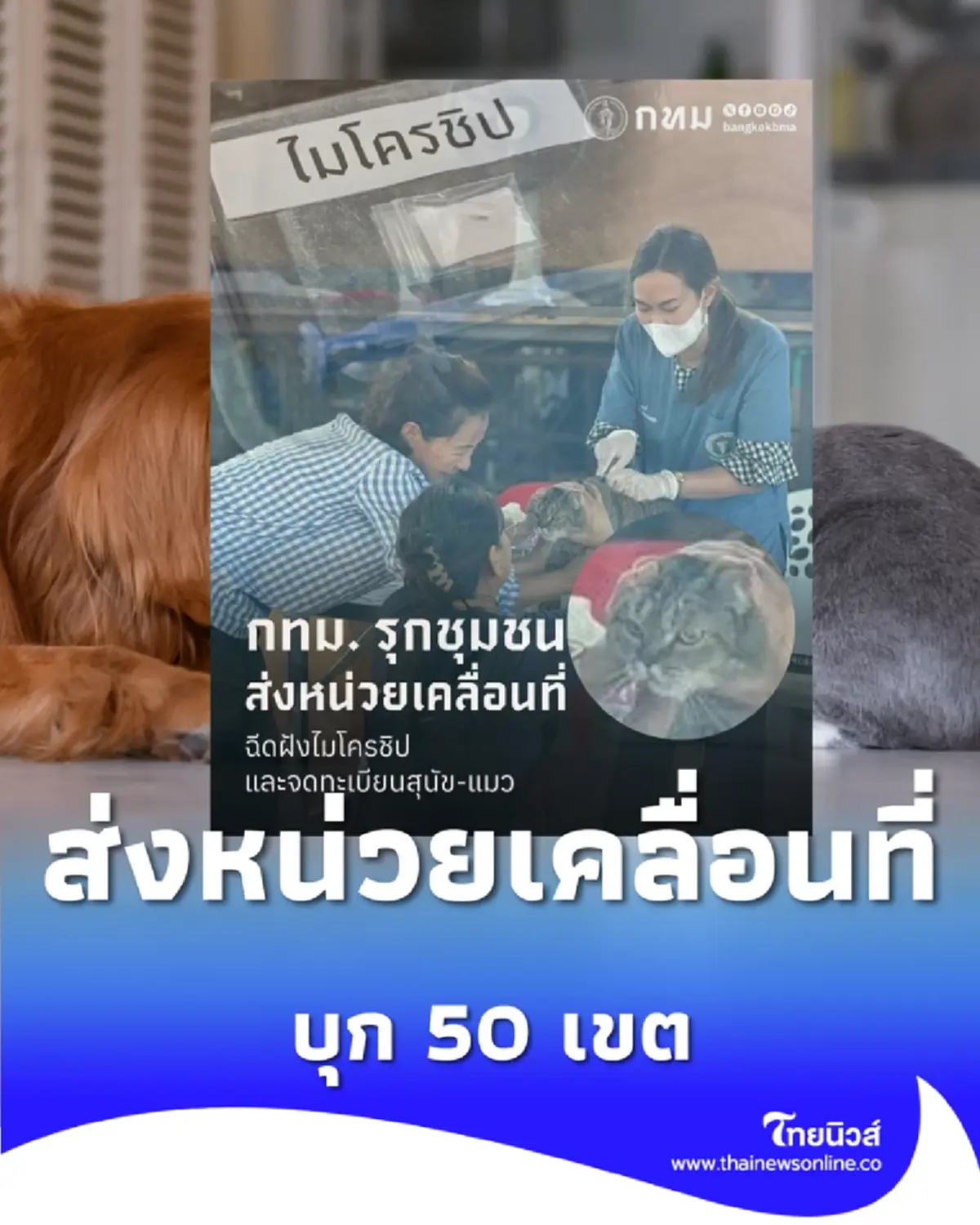 กทม. ส่งหน่วยเคลื่อนที่บุก 50 เขต ฉีดฝังไมโครชิป จดทะเบียนสัตว์เลี้ยง