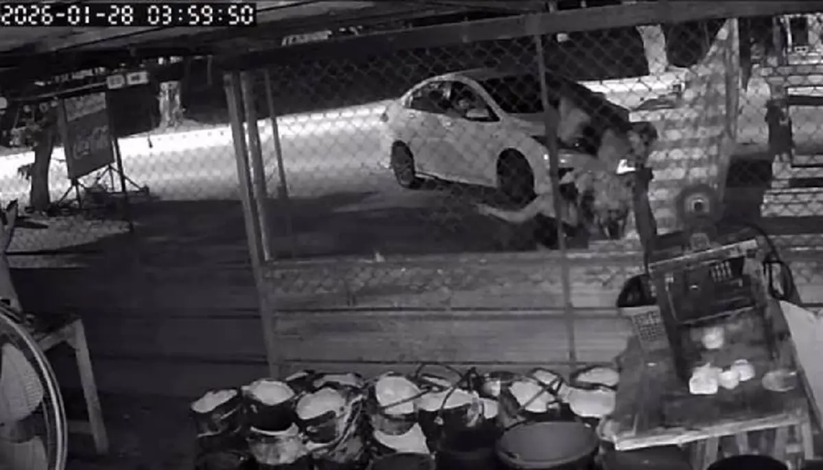 เสียงดนตรีลอยมา ร้านหมูกระทะเจอเงาดำรำหน้าศาลใต้ต้นโพธิ์ 100 ปี