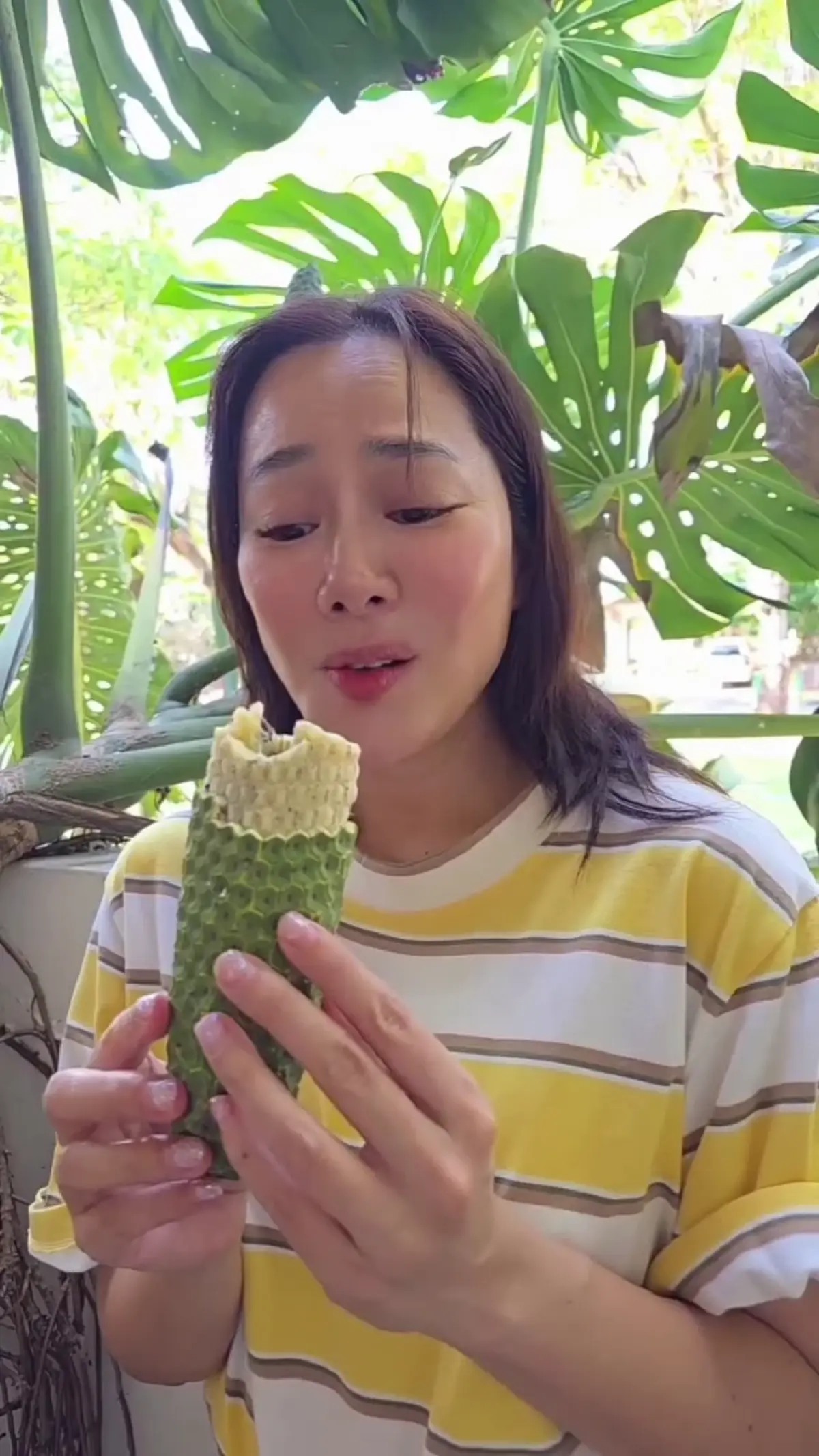 เปิดโลกนักกิน! “จอย รินลณี” รีวิวชิมผลมอนสเตอร่า ไม้ประดับสุดฮิต