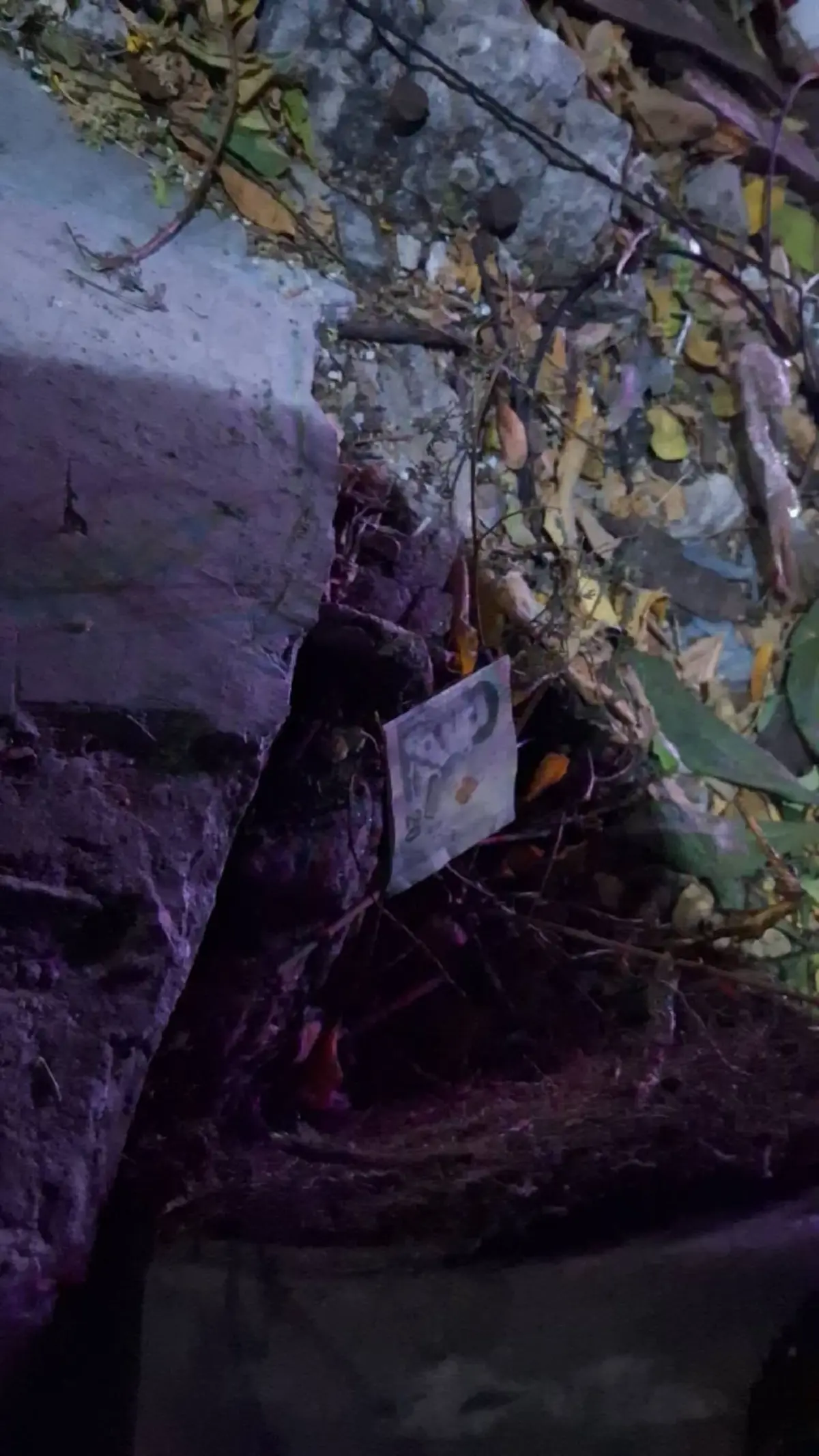 หนุ่มช่างแอร์ถูกรัวกระสุนดับคาที่ คนร้ายทำอุกอาจกลางซอย