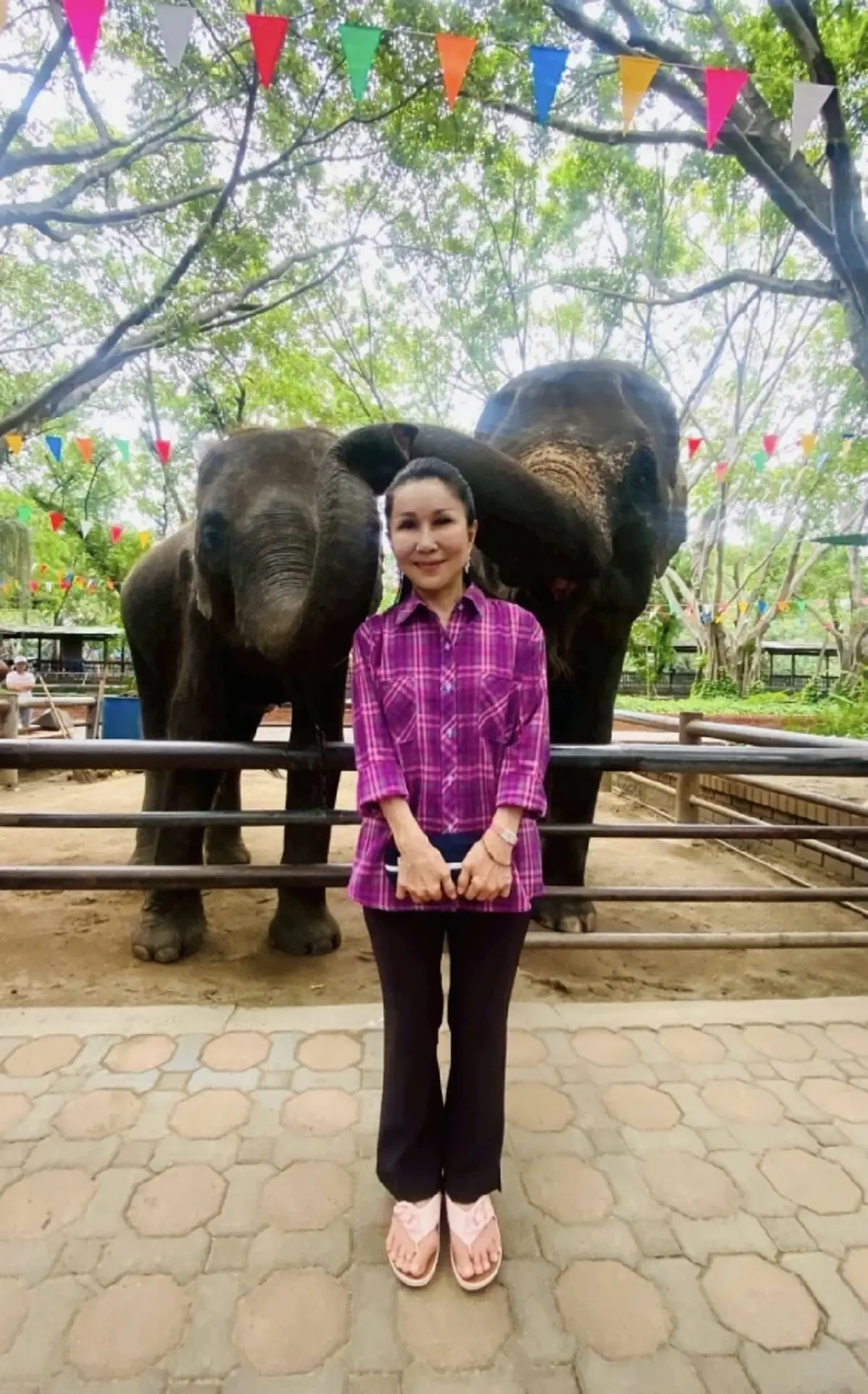 เดือด "หนูนา" โต้ข่าวช้างไทย 2 เชือก ใครป้ายสีเตรียมเจอของจริง