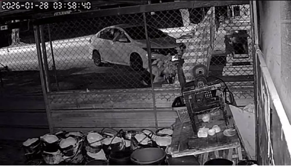 เสียงดนตรีลอยมา ร้านหมูกระทะเจอเงาดำรำหน้าศาลใต้ต้นโพธิ์ 100 ปี