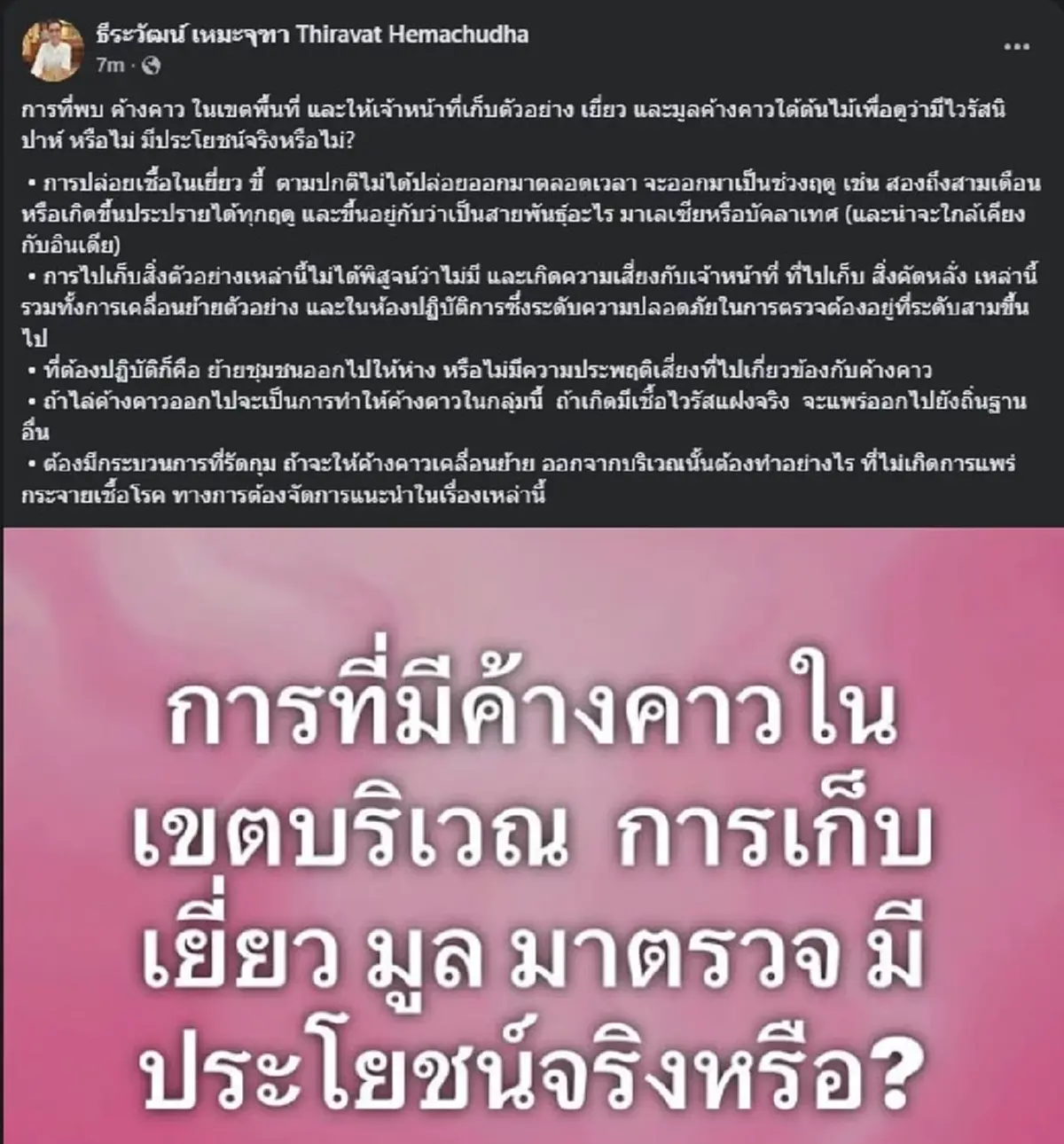 "หมอธีระวัฒน์" โพสต์เรื่อง "ค้างคาว" แบบตรง ๆ อ่านจบ ชัดเจนมาก