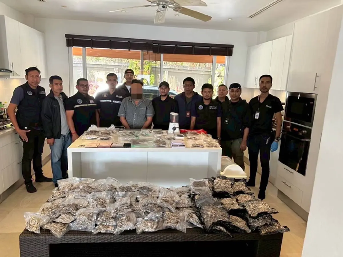 รวบแก๊งรัสเซียลอบเปิดสำนัก MUSHROOM TEMPLE ลักลอบค้าเห็ดขี้ควาย