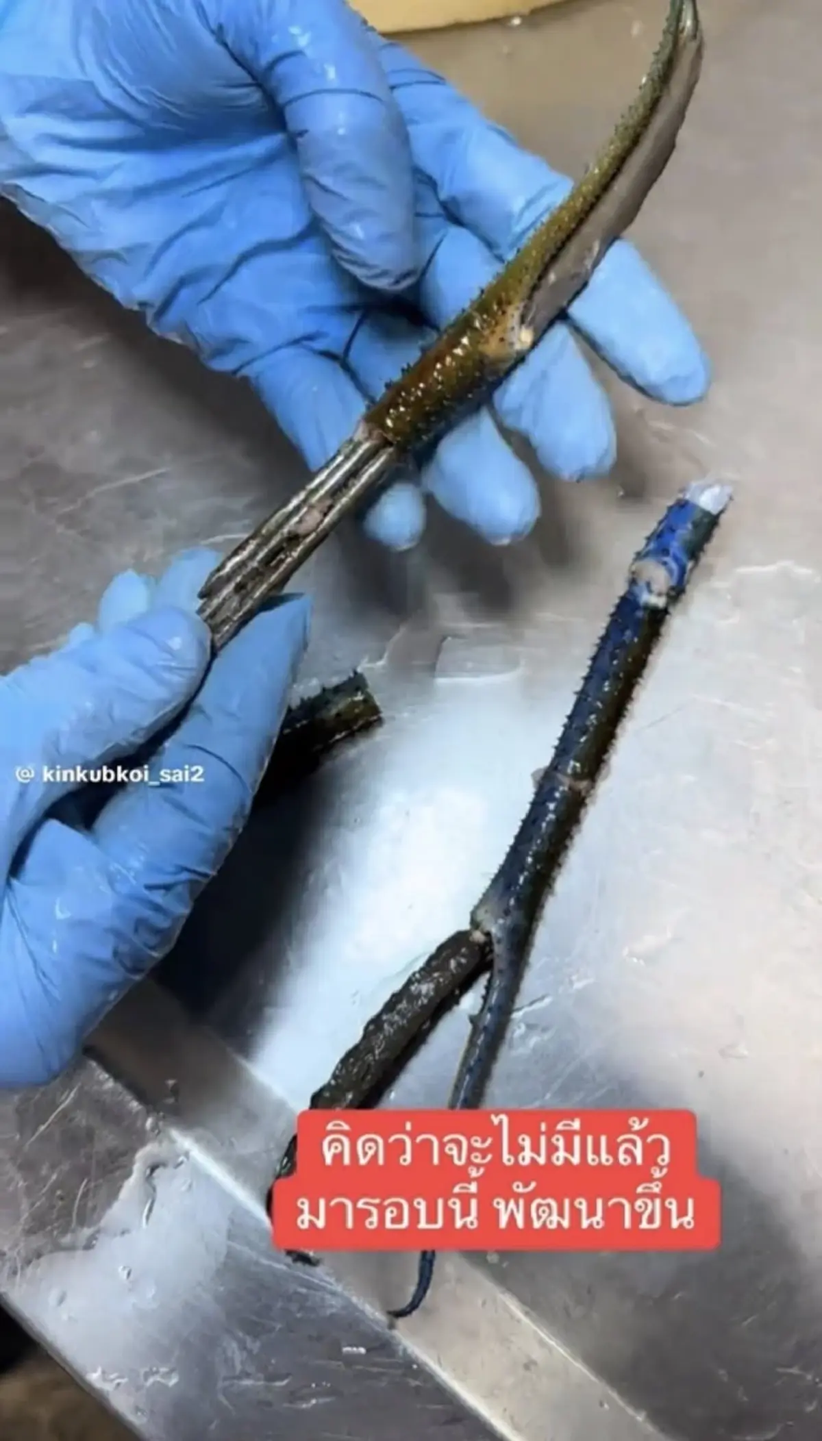 สายกินกุ้งต้องระวัง กลโกงสุดล้ำ ร้านดังเจอเต็มๆ มันอยู่ในก้าม