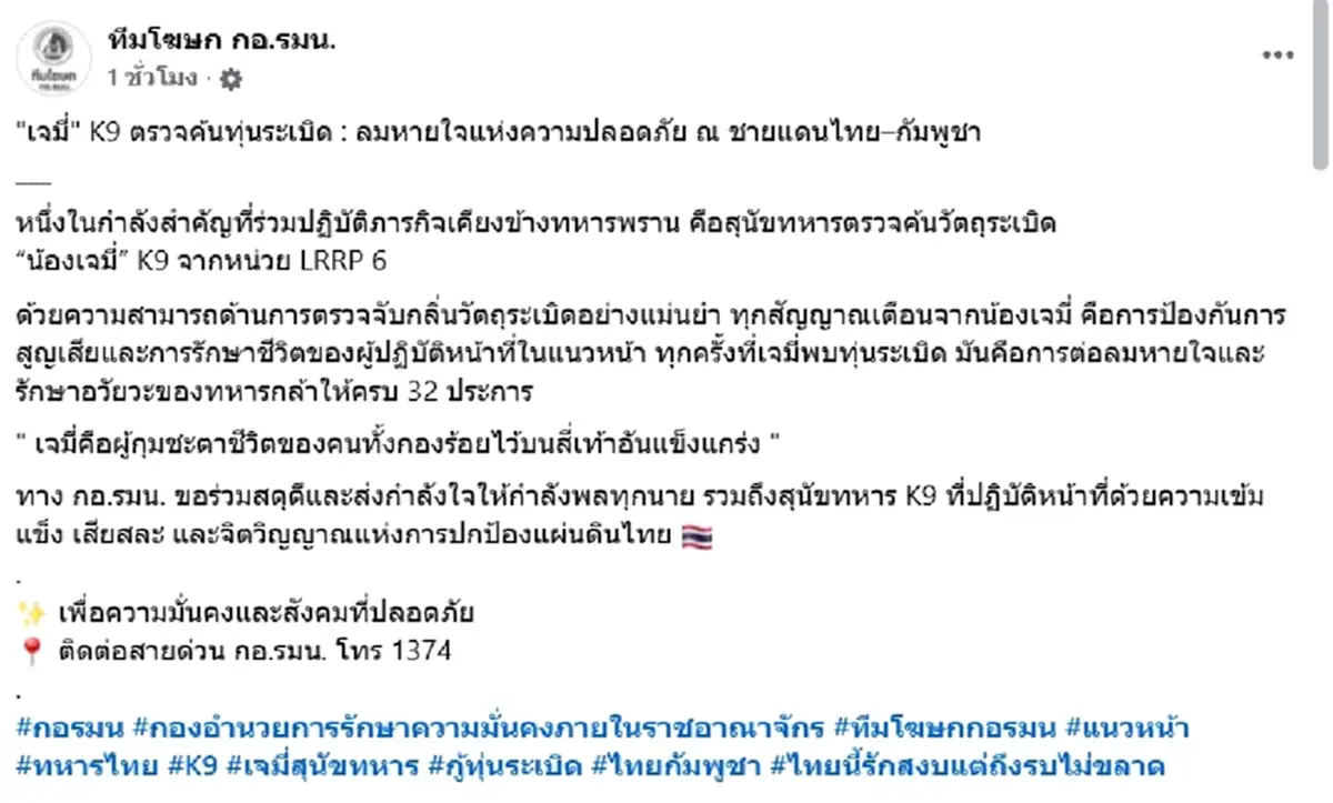 เปิดภารกิจ "เจมี่" K9 ฮีโร่สี่เท้า ผู้กุมชีวิตทหารทั้งกองร้อย