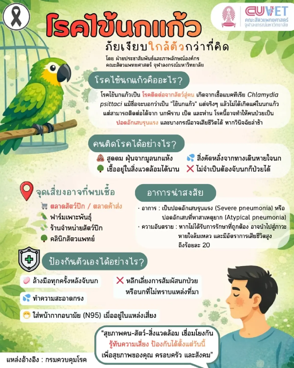 รู้แล้ว โรคไข้นกแก้ว ที่หลายคน สะพรึง แท้จริง ติดต่อทางไหนบ้าง 