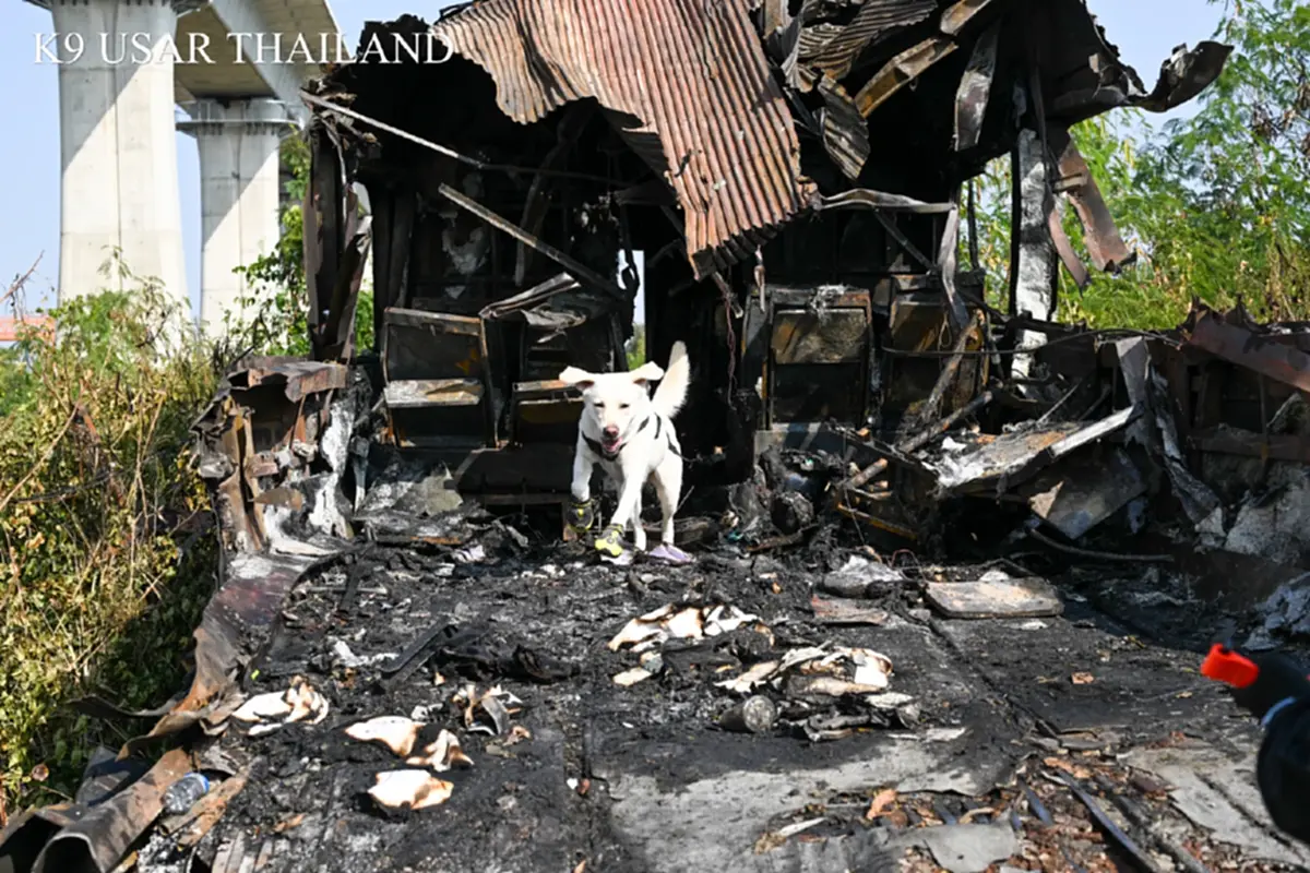 สรุปภารกิจ K9 USAR เหตุเครนถล่มทับรถไฟ สุนัขทรงเลี้ยง ร่วมด้วย