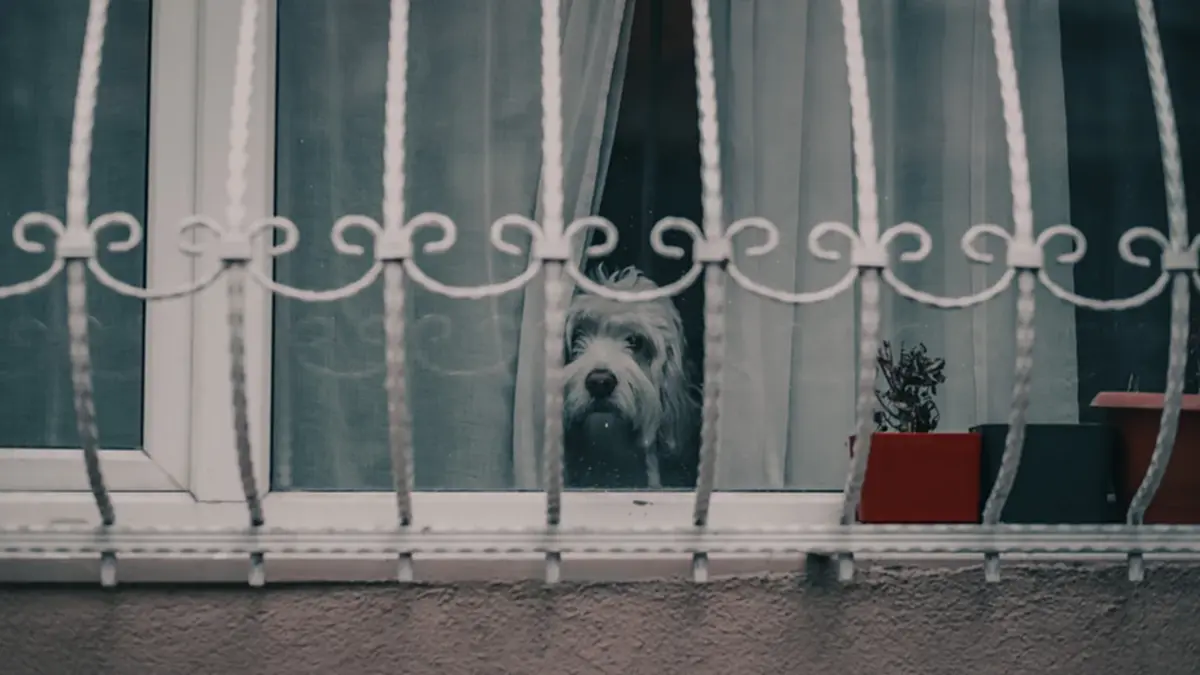 สลด! หนีไม่ทันเพราะเหล็กดัด สังคมตั้งคำถามยังจำเป็นอยู่ไหม