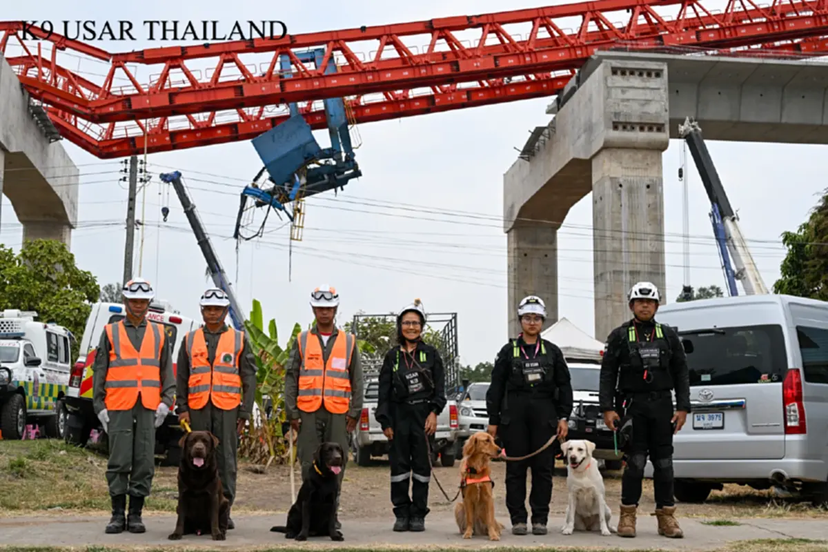 สรุปภารกิจ K9 USAR เหตุเครนถล่มทับรถไฟ สุนัขทรงเลี้ยง ร่วมด้วย