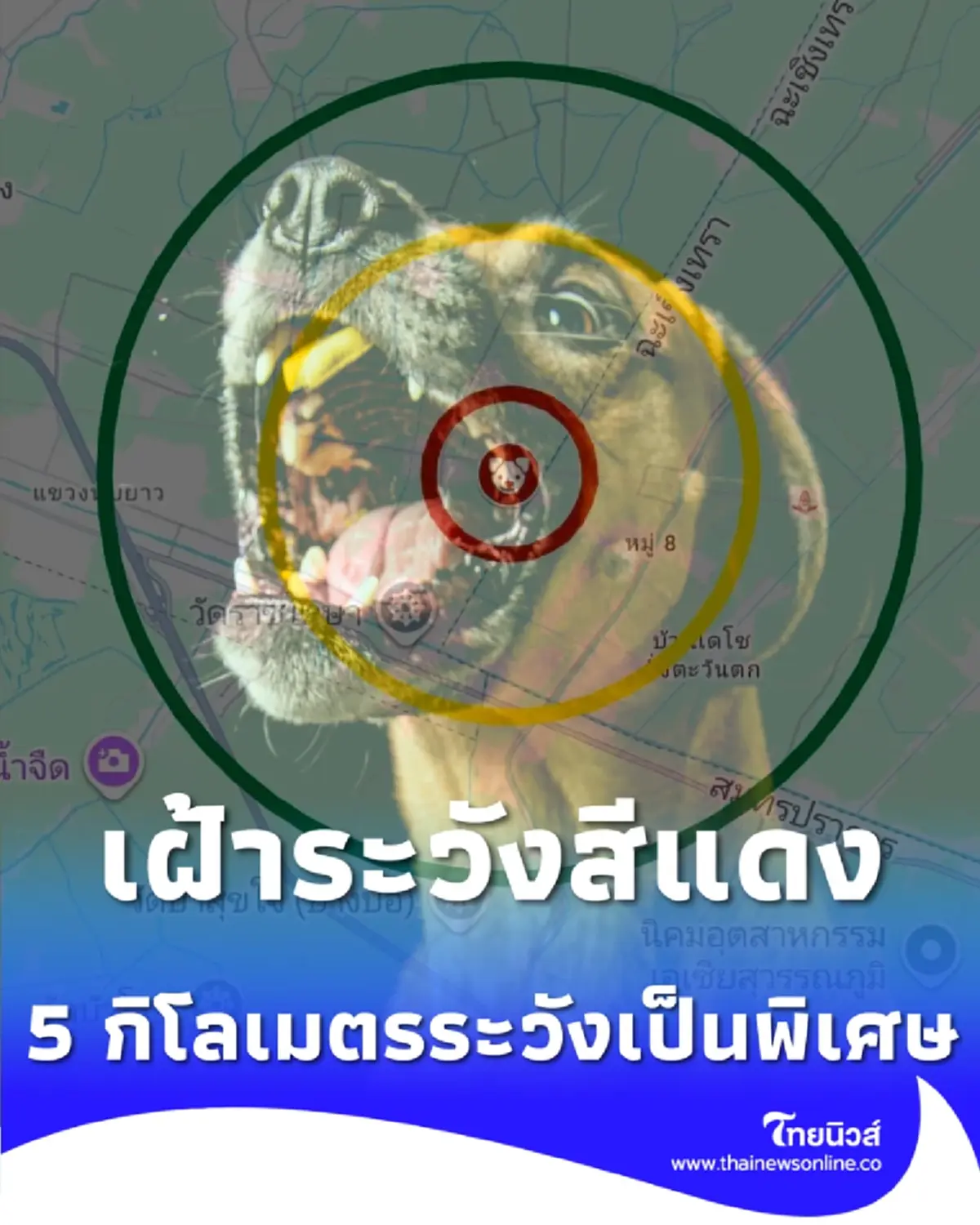  พบสัตว์ป่วยพิษสุนัขบ้า ย้ำรัศมี 5 กิโลเมตรต้องระวังเป็นพิเศษ