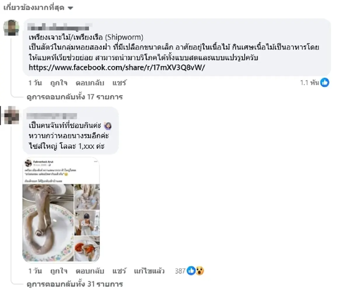 ขนลุก สาวเจอตัวประหลาด โผล่จากไม้ ที่แท้ของอร่อยโลละพัน