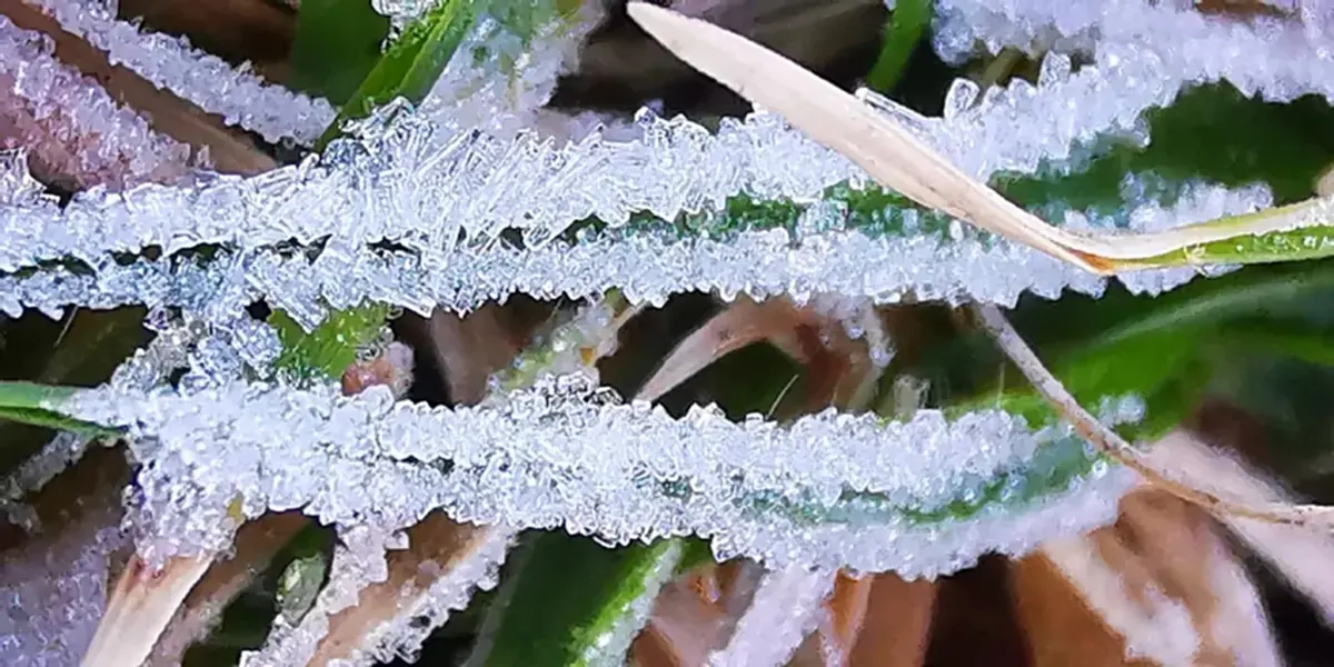 เปิดสาเหตุ ทำไมปีนี้หนาวช้าแต่หนาวนาน “ลานีญา” ตัวแปรสำคัญทำอากาศแปรปรวน