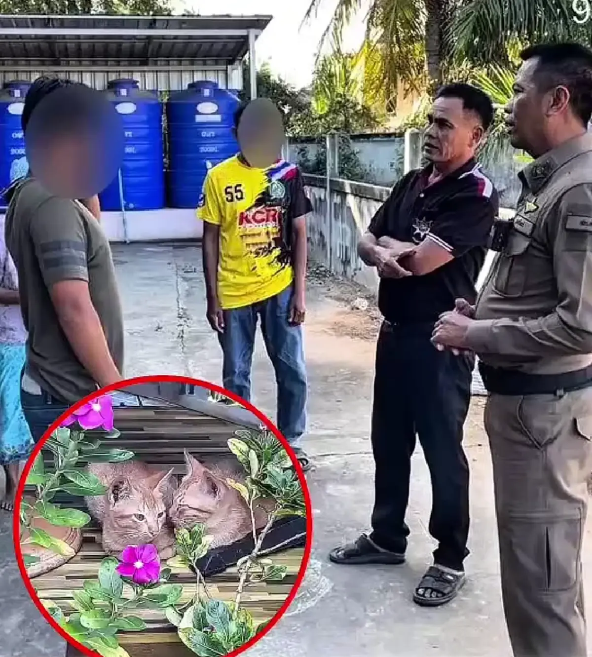 สังคมตั้งคำถาม อ้างลูกรักแมว รีบให้รับไป สุดท้ายพบแมวเสียชีวิต