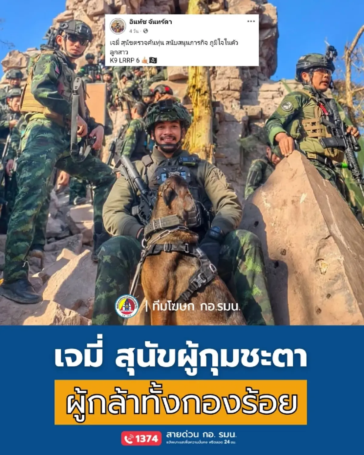 เปิดภารกิจ "เจมี่" K9 ฮีโร่สี่เท้า ผู้กุมชีวิตทหารทั้งกองร้อย