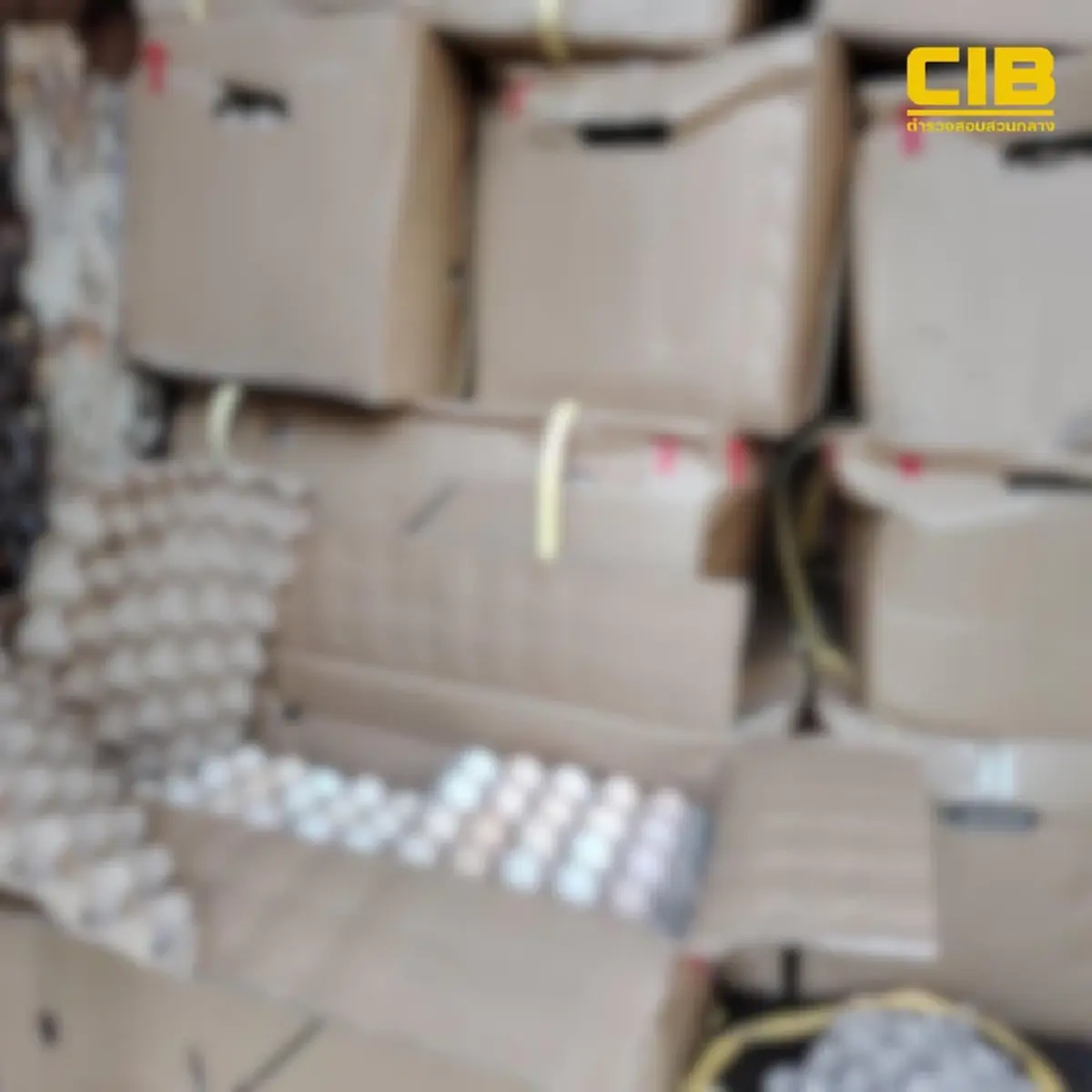 CIB-กรมปศุสัตว์สกัดขบวนการลักลอบขนเนื้อเถื่อน–ไข่ไก่