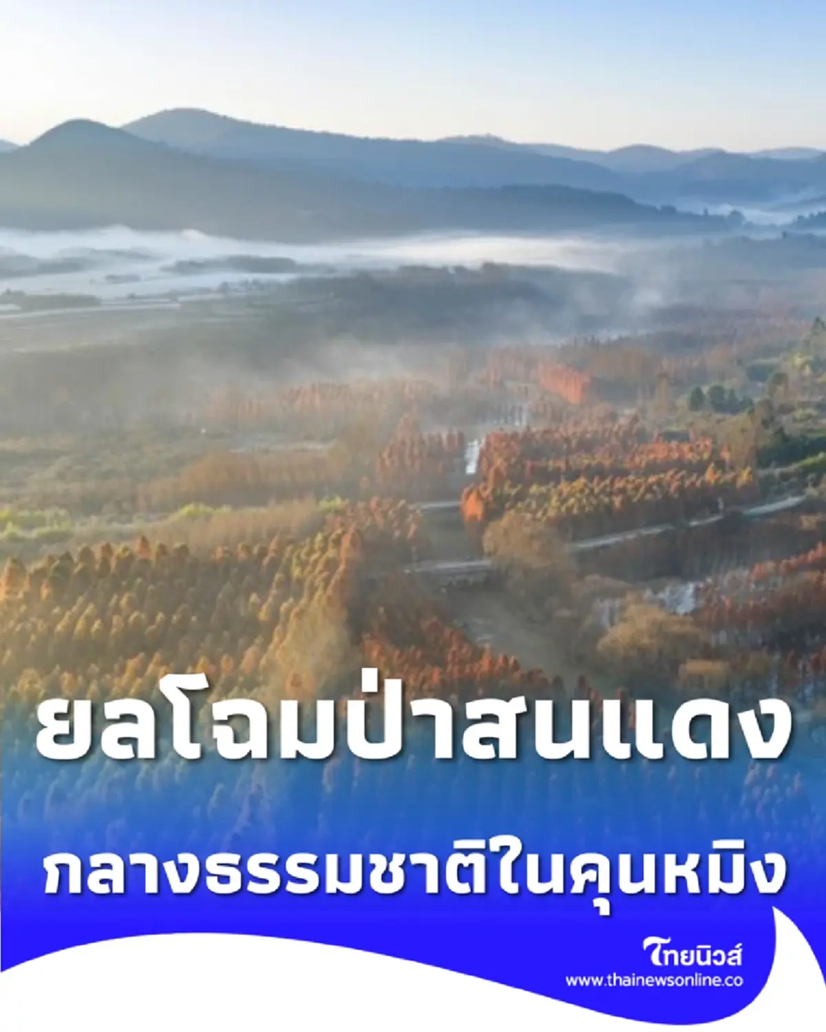 ยลโฉมป่าสนแดง กลางพื้นที่ชุ่มน้ำคุนหมิง ท่ามกลางบรรยากาศยามรุ่งอรุณ