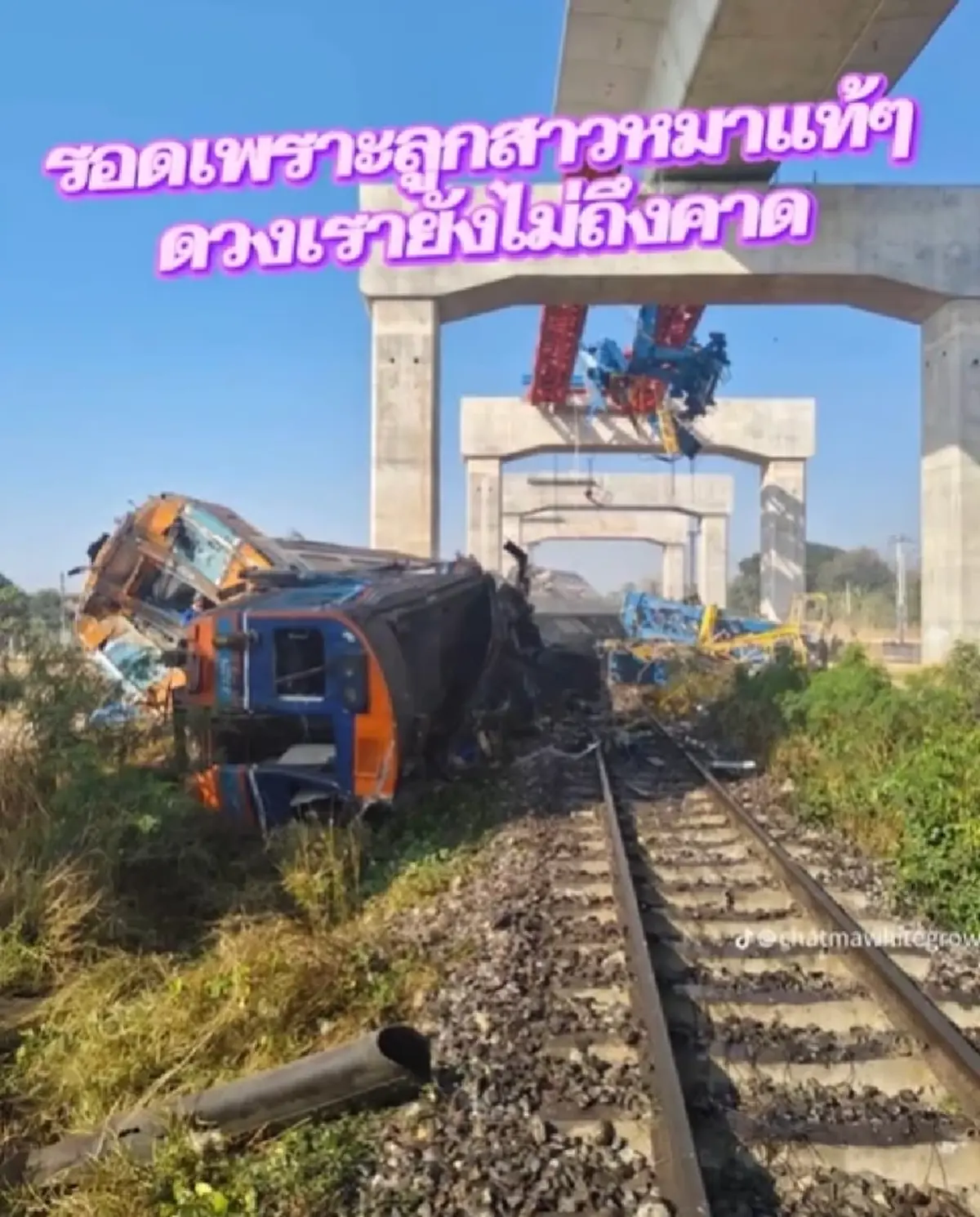 เหลือเชื่อ สาวเล่าขนลุก รอดเครนถล่มทับรถไฟ พิทบูลช่วยชีวิต