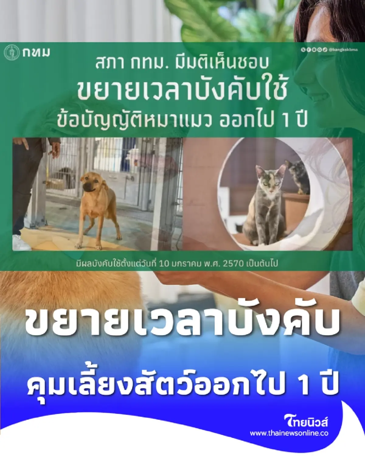 คนรักสัตว์เฮ กทม. ยืดเวลาบังคับใช้กฎหมายเลี้ยงสัตว์ออกไป 1 ปี