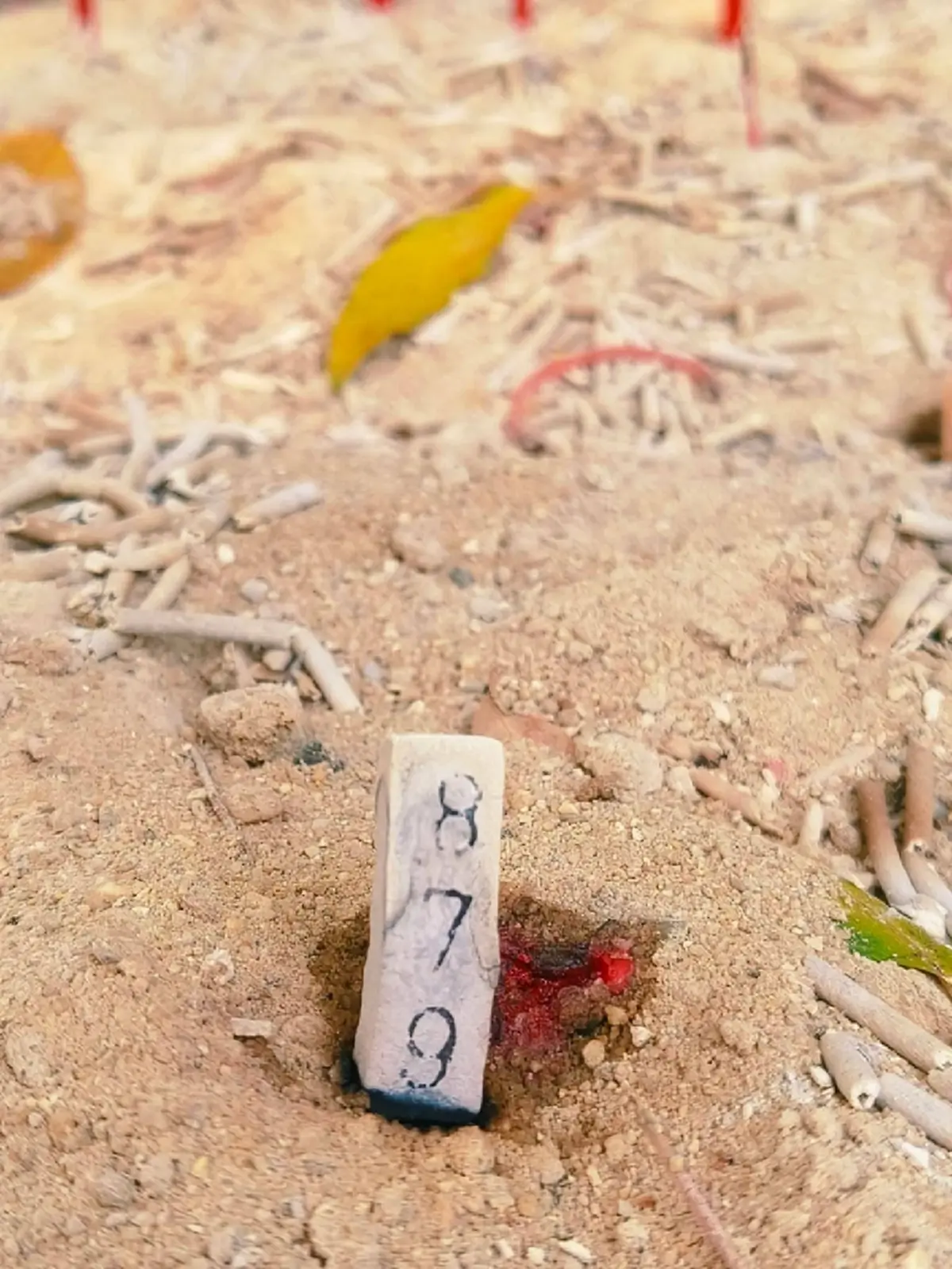 เปิดเลขธูปมงคล เลขธูปพระพิฆเนศโบราณ ปราสาทพระนครหลวง อยุธยา