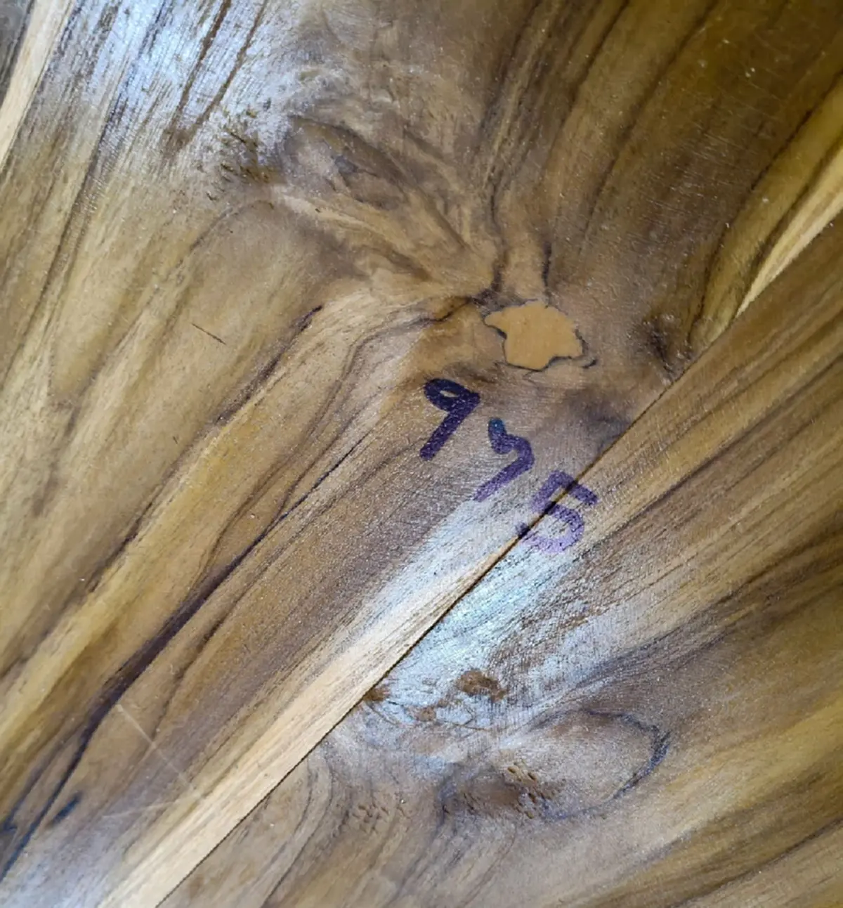 สิ้นหลวงตานวย อดีตเจ้าคณะกำแพงเพชร เปิดเลขฝาโลงขนลุกตรงอายุ