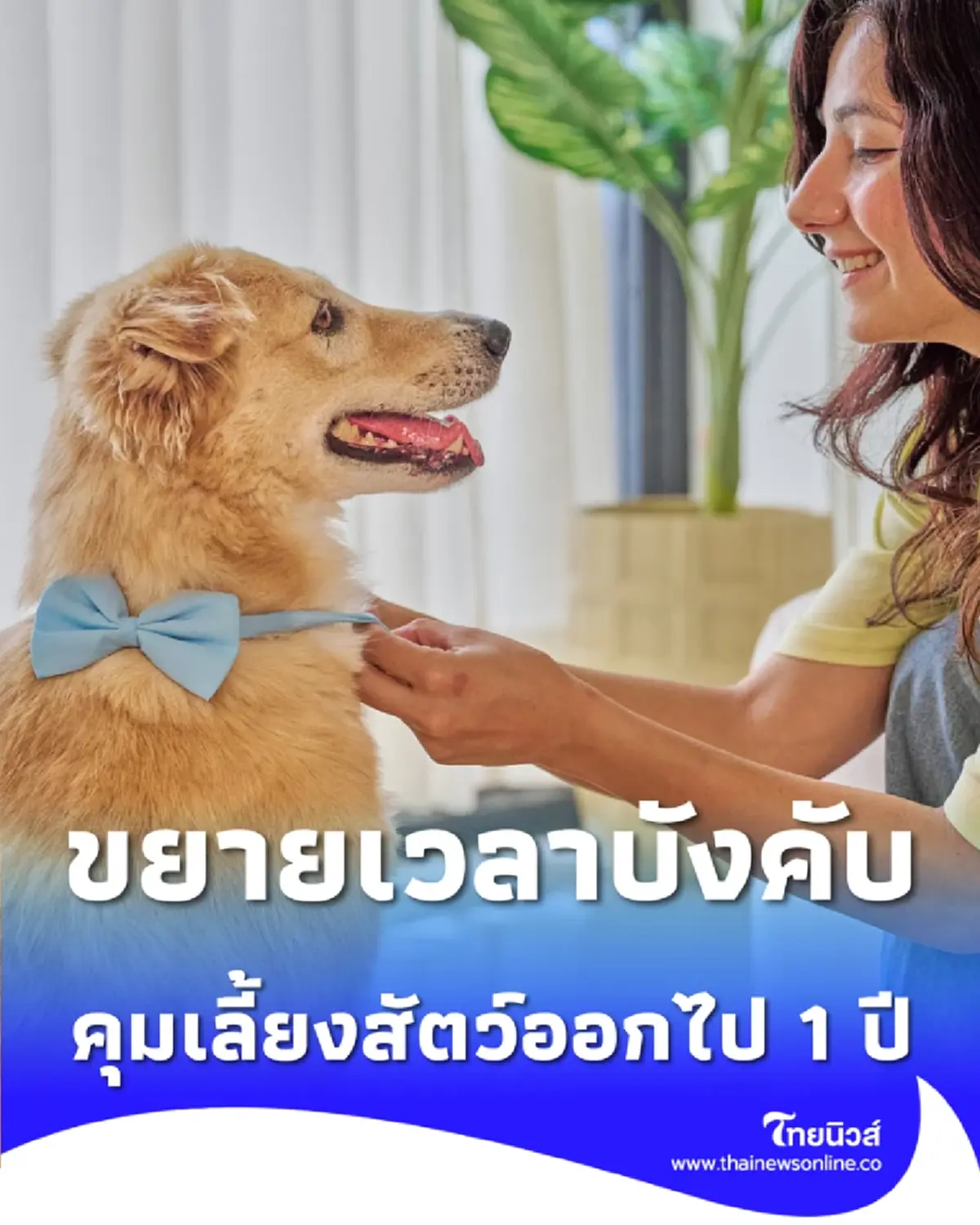คนรักสัตว์เฮ กทม. ยืดเวลาบังคับใช้กฎหมายเลี้ยงสัตว์ออกไป 1 ปี