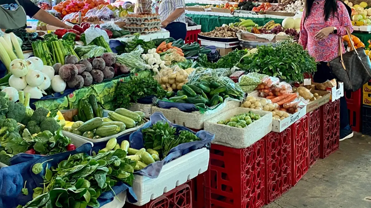 “คนละครึ่ง เฟส 2” ยังไม่อนุมัติ รัฐย้ำข่าวลือไม่เป็นความจริง