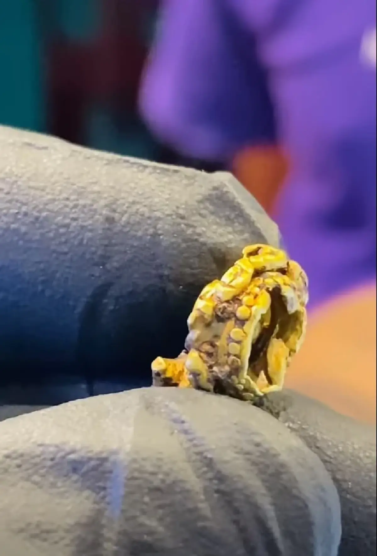 หนุ่มทอดแห เจอ ทองโบราณ ให้ช่างหลอมพิสูจน์ รู้มูลค่าแล้วตกใจ