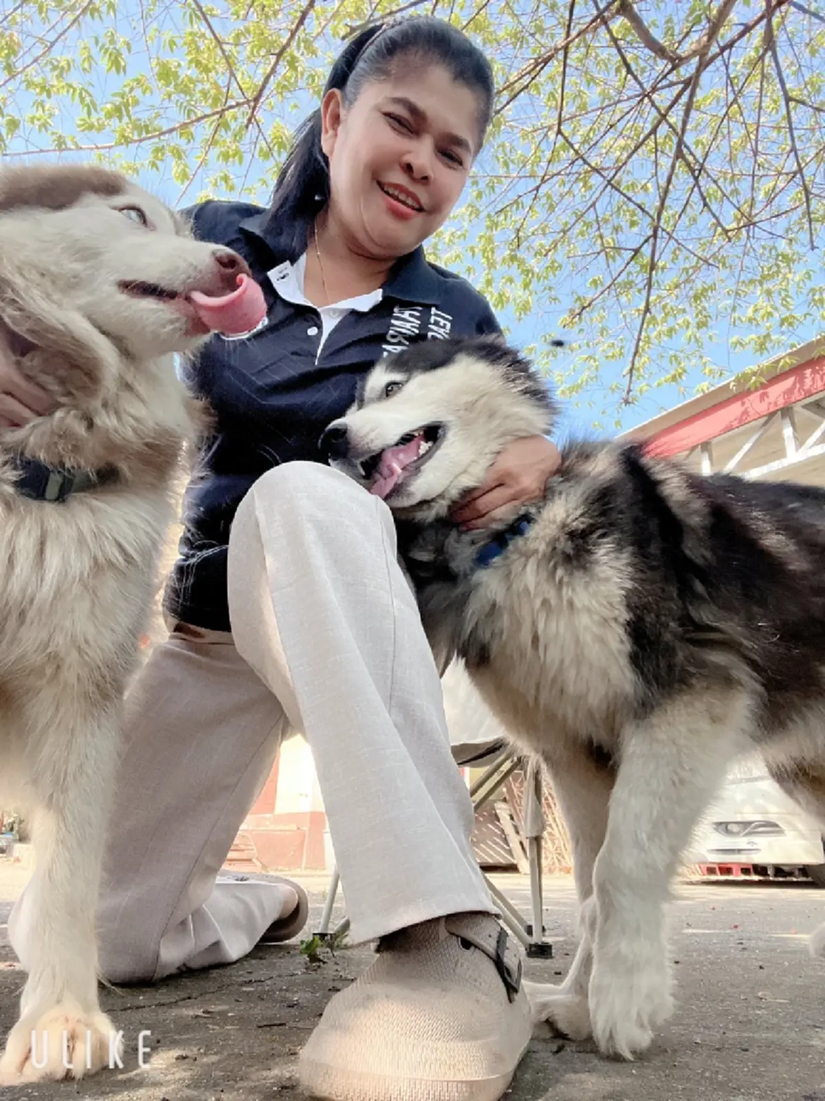 เจ้าของใหม่ แจงดราม่า "มอลลี่-เบตซี่" เผยสาเหตุหลุดออกจากบ้าน