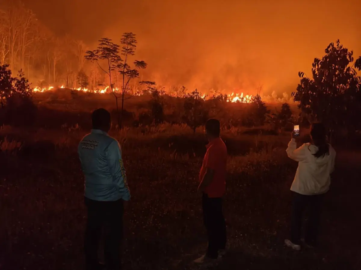 ไฟป่าสะแกราชลามหนัก เสียหายวงกว้าง เจ้าหน้าที่ยังคงเฝ้าระวัง