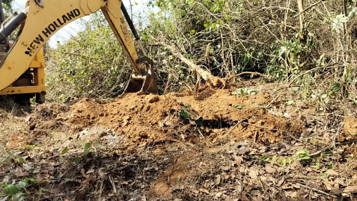 สลดหนัก ลูกช้างป่าติดบ่วงมรณะ กับดักคนคร่า 1 ชีวิตกำลังเติบโต