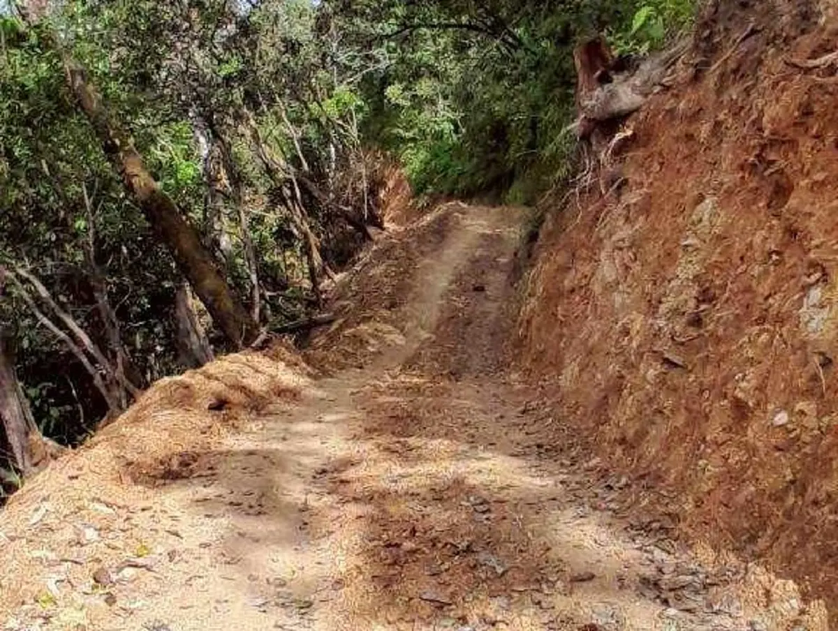 แฉเจ้าหน้าที่แอบอ้างงบรัฐ ตัดถนนป่า 6.6 กม. เร่งปิดถนนคืนป่า