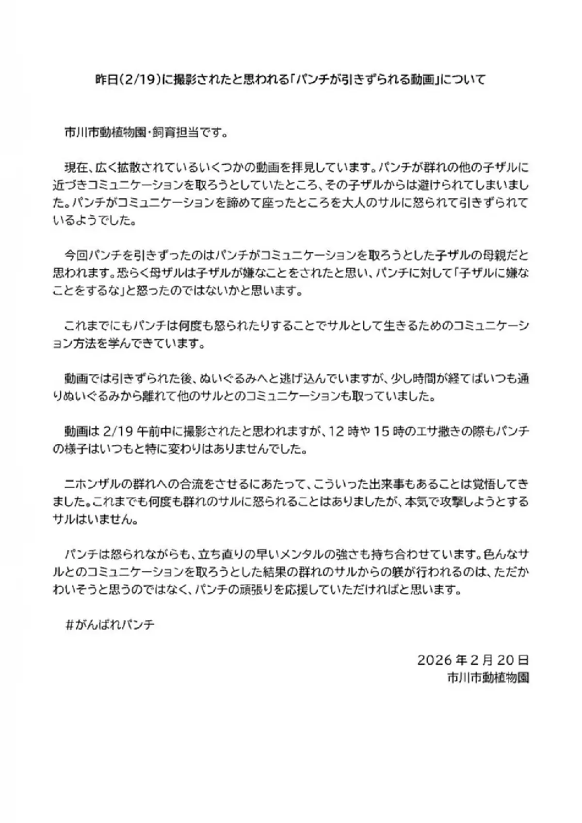 เปิดความจริง สาเหตุ "พันช์คุง" ถูกลิงโตเต็มวัยลากไปกับพื้น