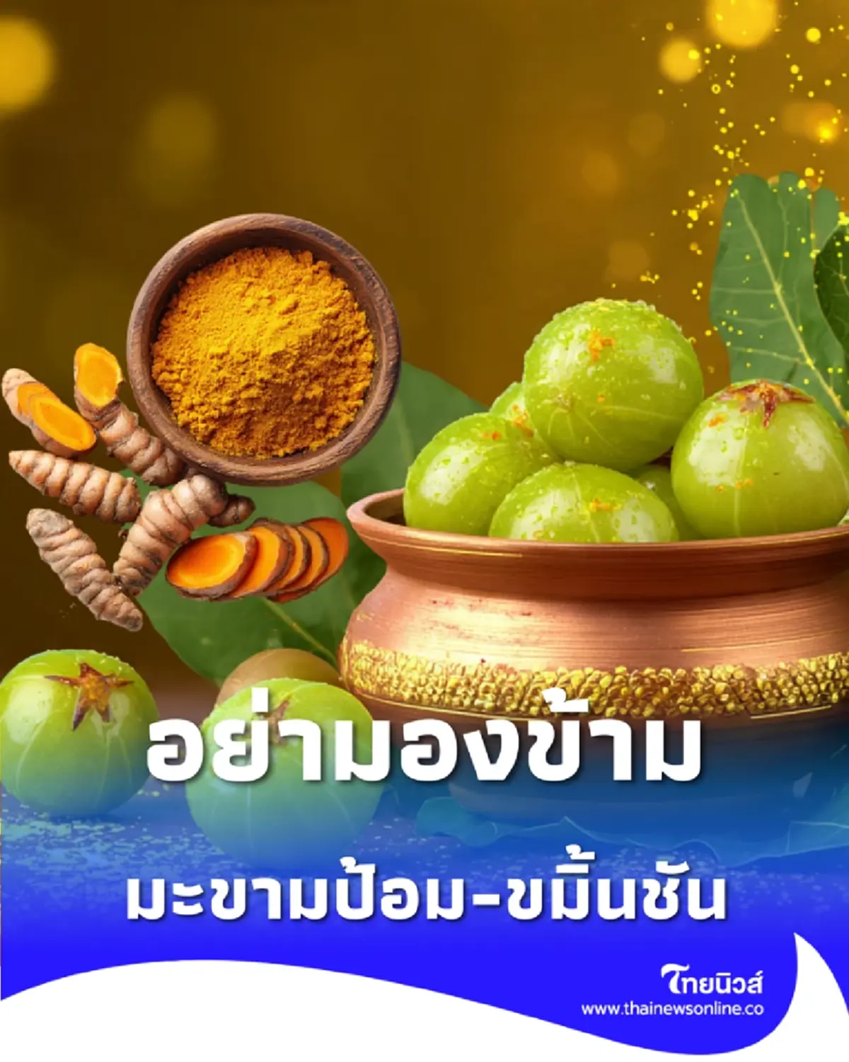 อย่ามองข้าม มะขามป้อม-ขมิ้นชัน เกราะป้องกันฝุ่น PM 2.5 