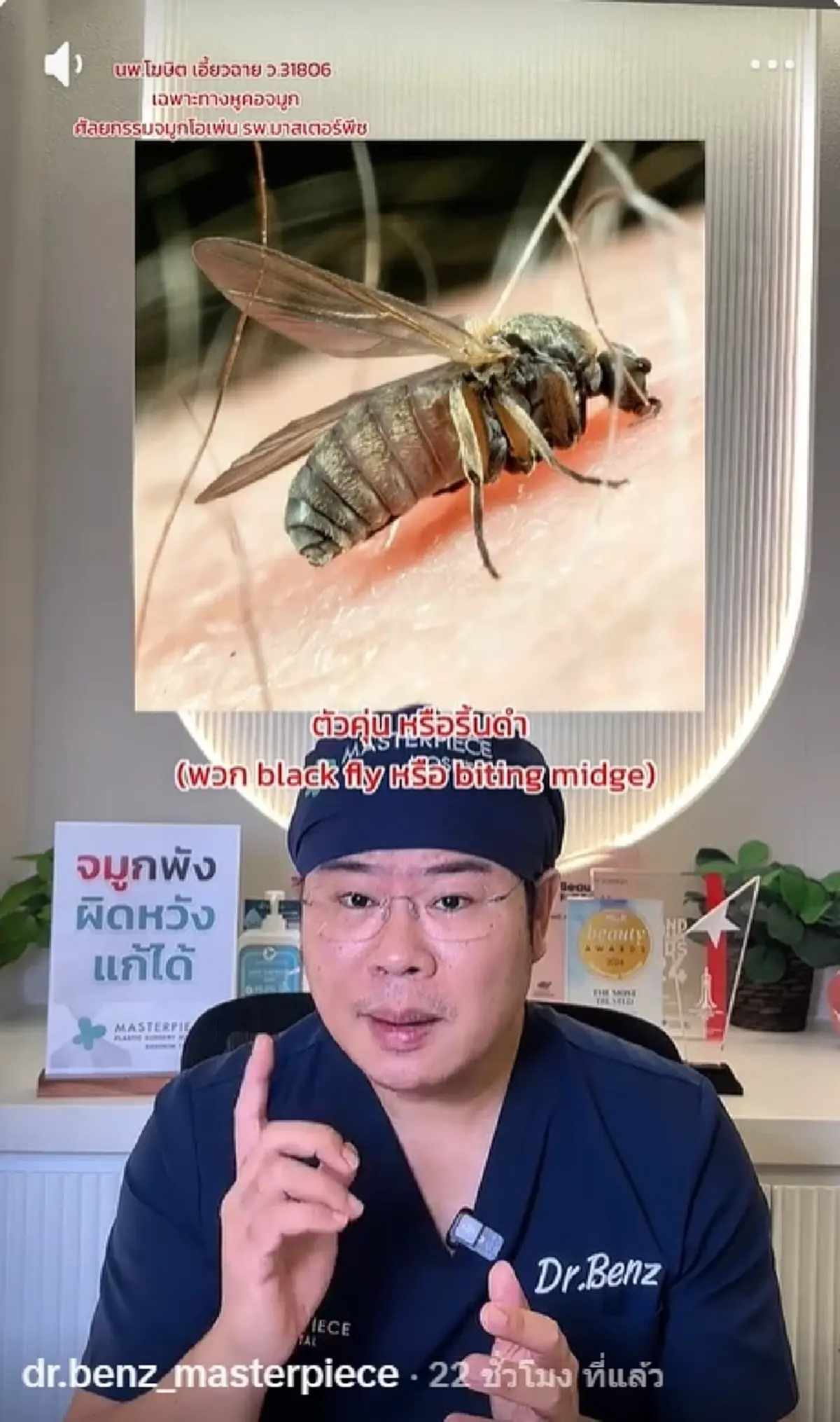 หมอดัง เผยชัด "ยุง vs คุ่น" ต่างกันตรงไหน เสี่ยงติดเชื้อได้ยังไง