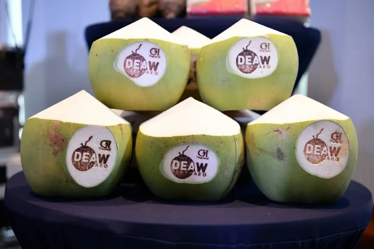 ขยายฐานตลาดพรีเมียม! "กรมทรัพย์สินทางปัญญา"ผนึกพันธมิตร เปิดโมเดลรัฐ-เอกชน ปั้น "GI ไทย"