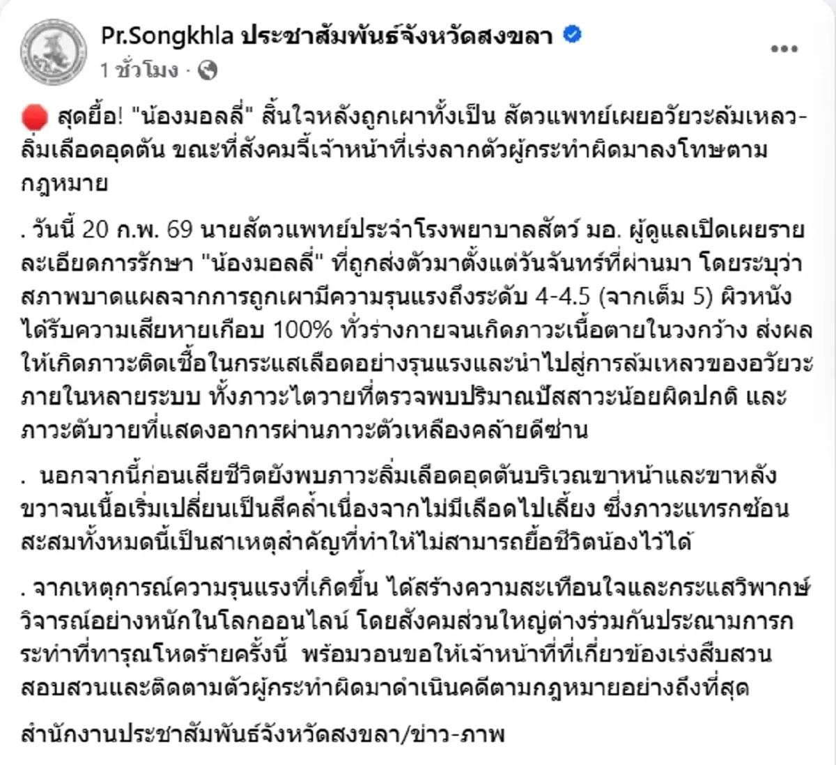 สุดสงสารอาการ มอลลี่ ก่อนกลับดาว สัตวแพทย์ เผยสาเหตุสุดยื้อ