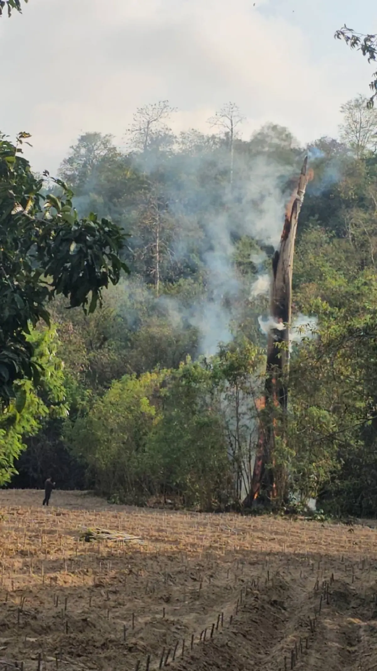 ระยองจับจริง! รวบชาวบ้านเผาป่าปลูกมันฯ หวิดลามเขตป่าสงวนแห่งชาติ