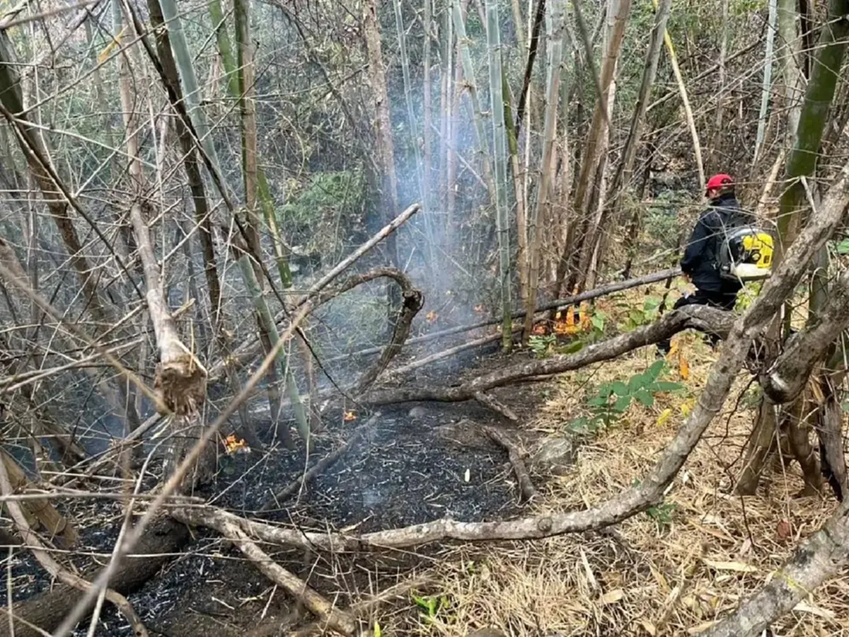 ชัยภูมิเร่งคุมไฟป่า หลังพบจำนวนฮอตสปอตพุ่งเกือบ 1,000 จุด