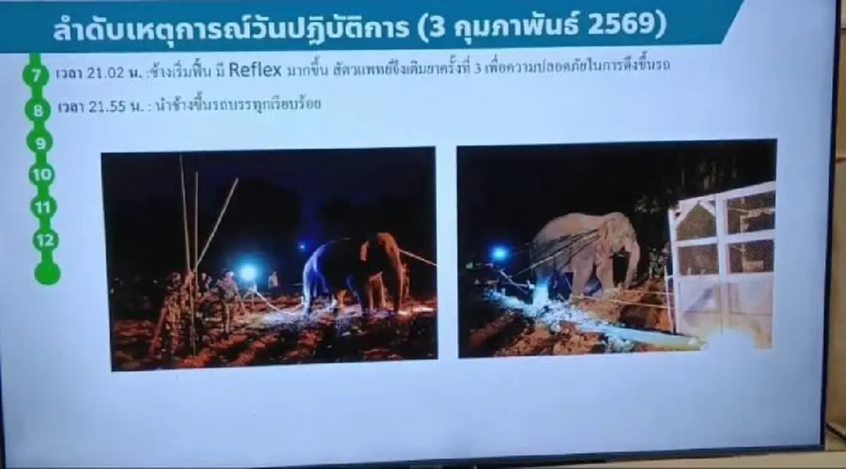 เบื้องลึก สีดอหูพับล้ม มีบางอย่างหายไป ถึงว่านักอนุรักษ์ลุกฮือ