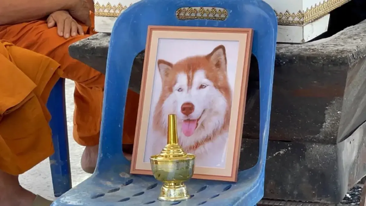 อดีตเจ้าของ "มอลลี่-เบ็ตซี่" เปิดสาเหตุหาบ้านใหม่ ทั้งที่รักมาก