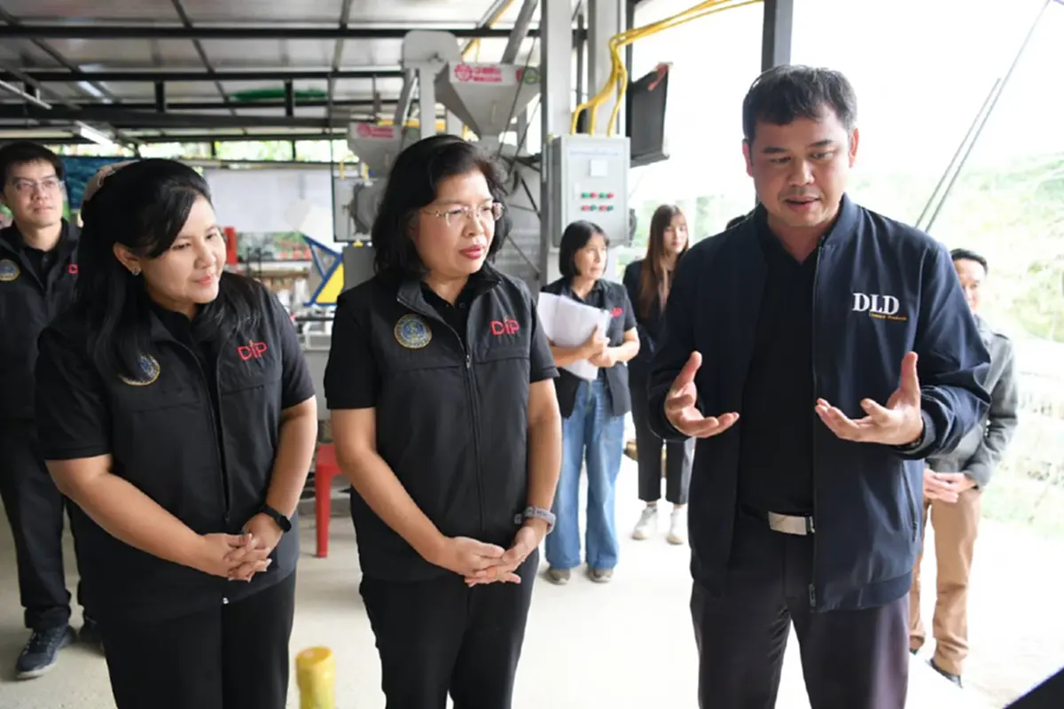 เจาะตลาดสากล! กรมทรัพย์สินทางปัญญา ปักหมุดเชียงใหม่ แหล่ง GI ขึ้นชื่อ ดันสร้างมูลค่าเพิ่ม