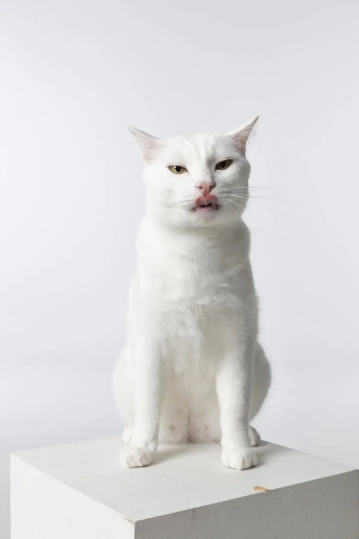 แม่ไข่ขาว เปิดใจเล่าเหตุการณ์ในวันสูญเสีย เกิดอะไรขึ้น