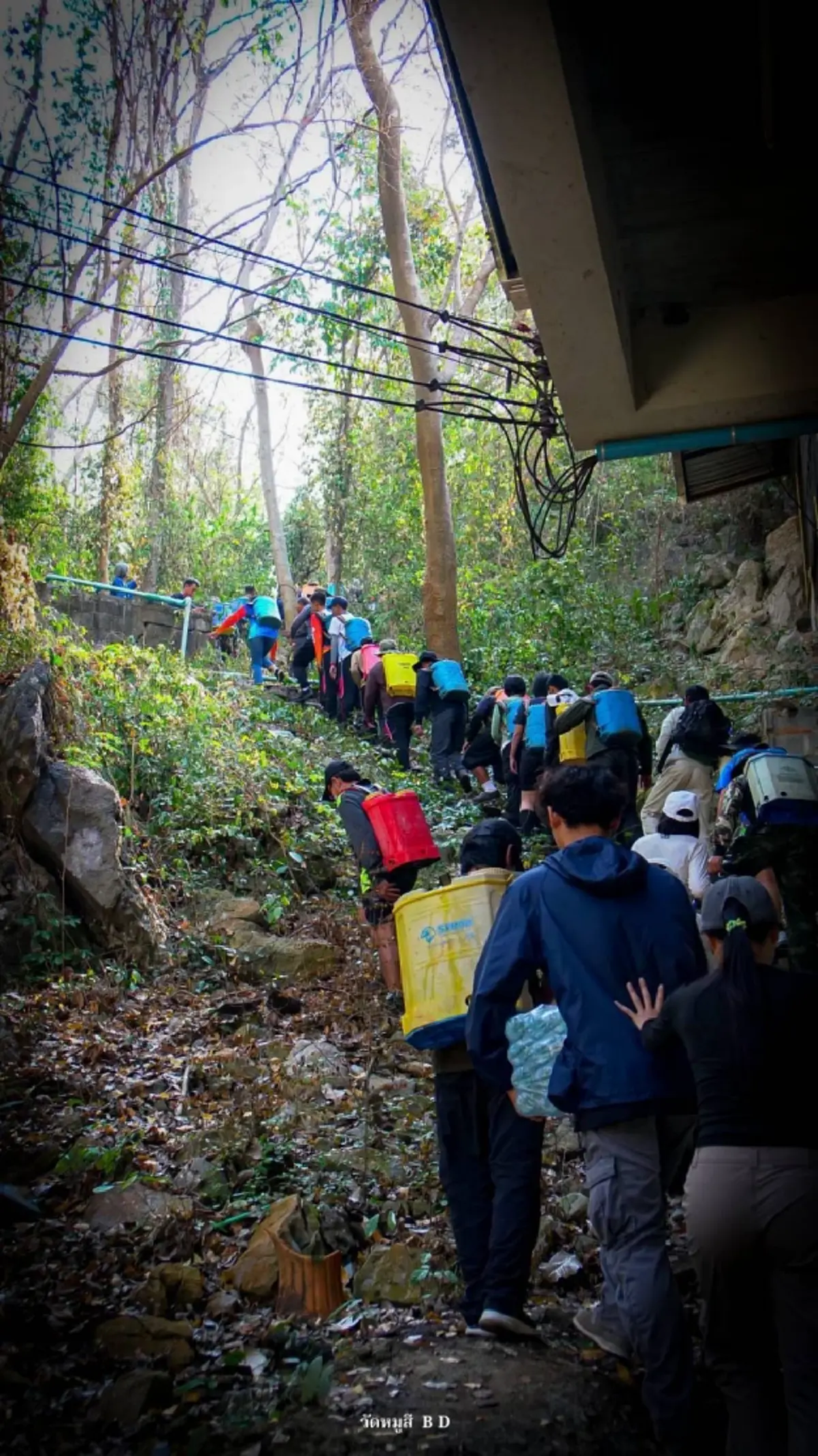 จิตอาสาขนน้ำ 3,000 ลิตร เติมแหล่งน้ำช่วยสัตว์ป่าเขาใหญ่