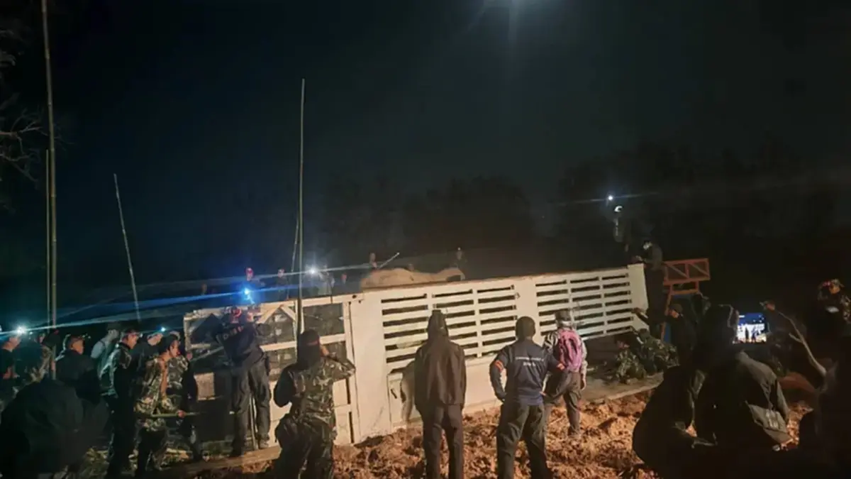 "หนูนา" เดือด คาใจ 4 จุดพิรุธ ภารกิจย้ายช้าง ทำไม "หูพับ" ไม่รอด