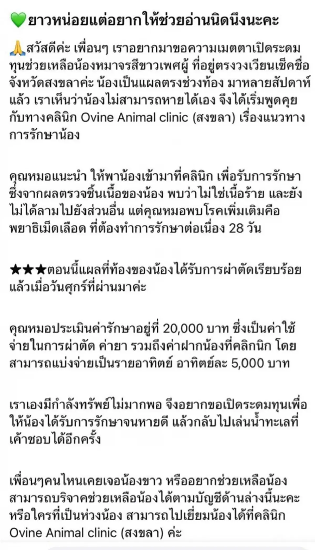 แฉสนั่น ส่งหมารักษามะเร็งคลินิกเอกชน สุดท้ายโผล่คอกพักพิงหมาจร