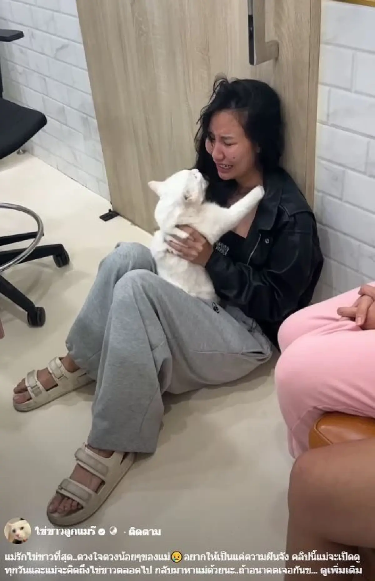 คลิปนาทีสูญเสีย ไข่ขาวลูกแมร๊ ใจสลาย อยากให้เป็นแค่ฝัน