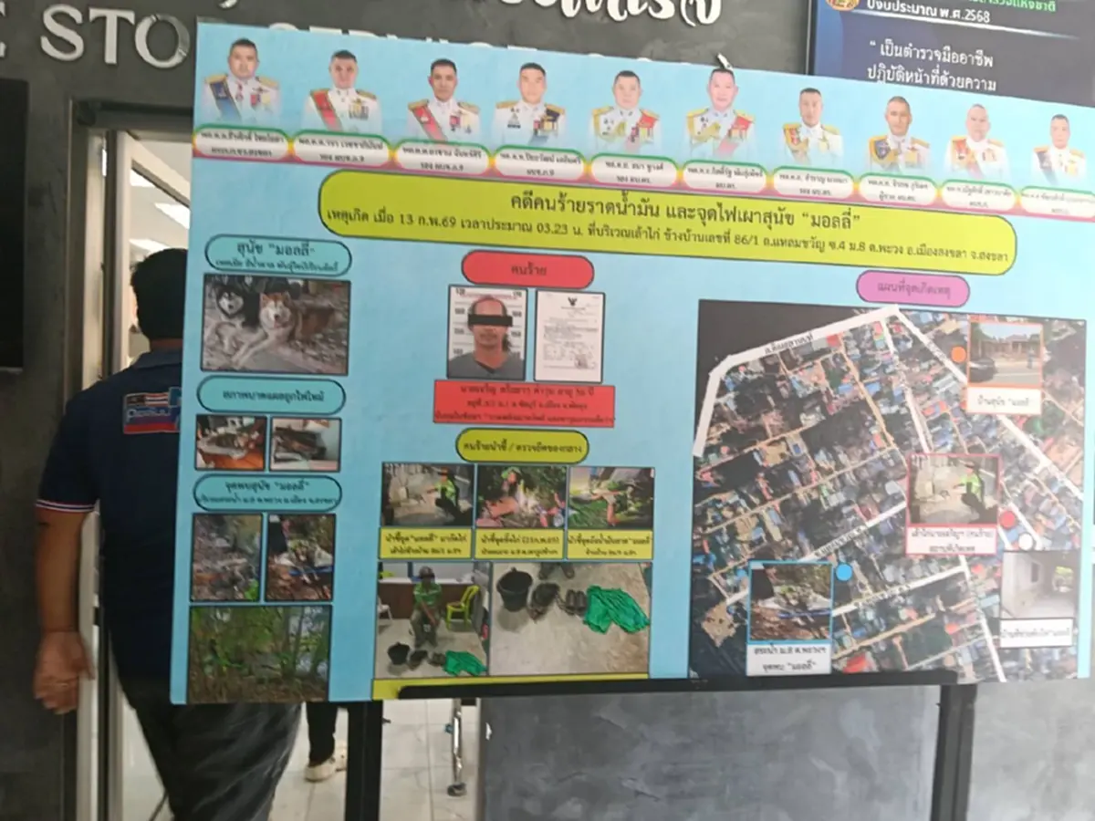 อ่วม เปิดข้อหา มือก่อเหตุทำร้าย น้องมอลลี่ ยอมสารภาพสิ้น