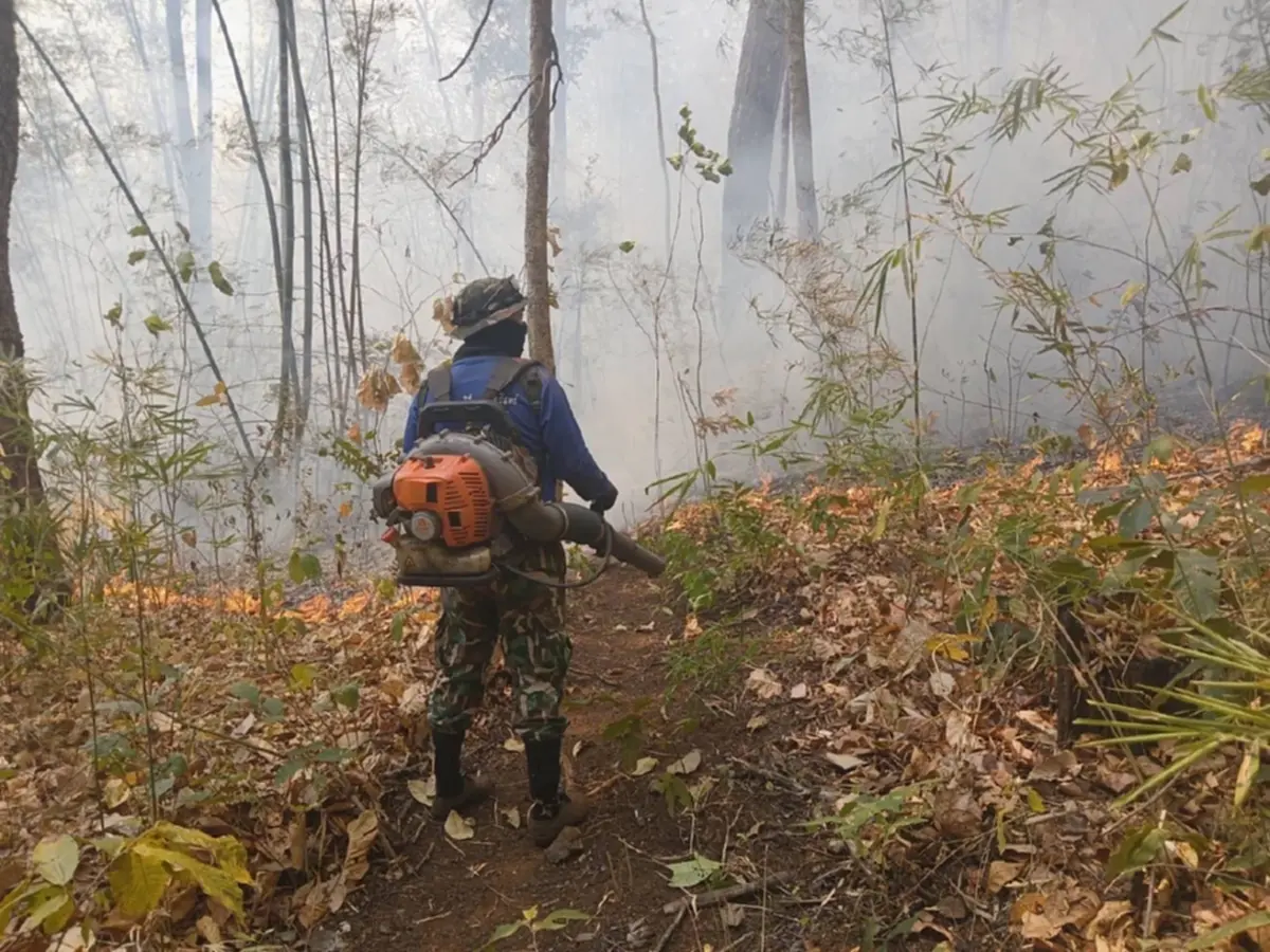 ภาพ @กรมอุทยานแห่งชาติ สัตว์ป่า และพันธุ์พืช