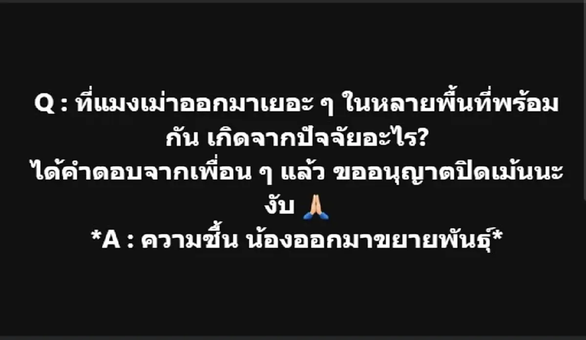 ถึงว่า "แมลงเม่าบุก" หลายที่พร้อมกัน เมื่อคืน รู้แล้ว เพราะอะไร